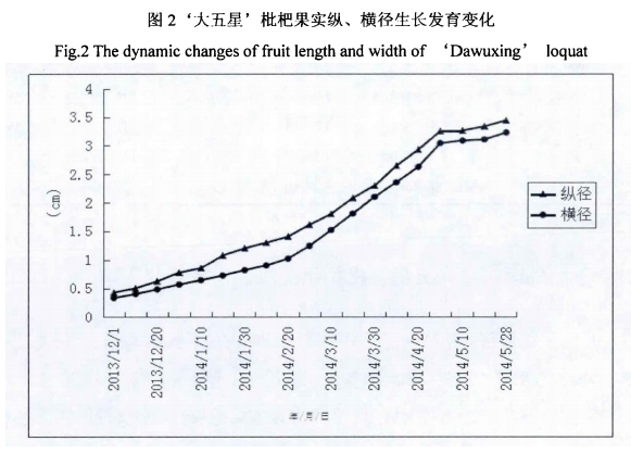 圖片2.png